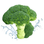 Untitled design (54)