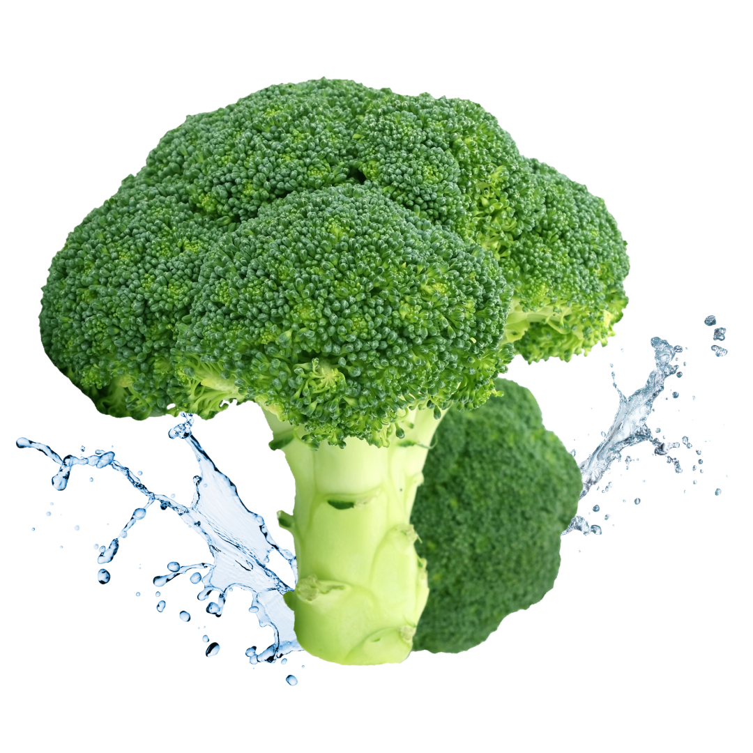 Untitled design (54)